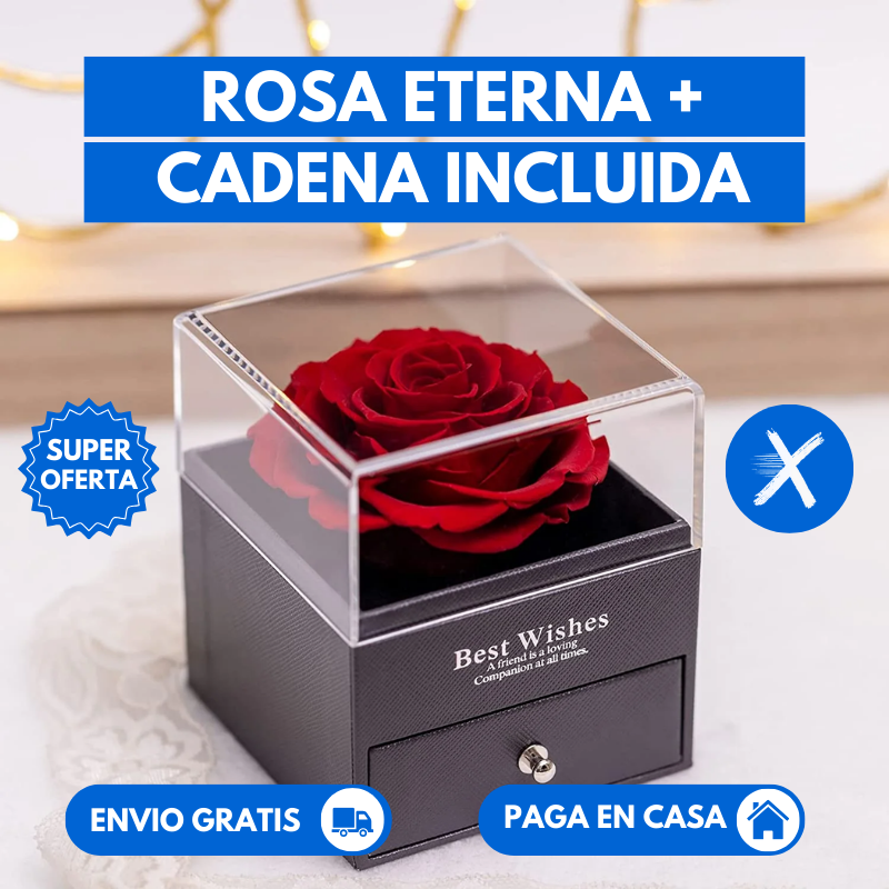 Joyero Rosas + Cadena (REGALO PERFECTO PARA DIA AMOR Y AMISTAD)