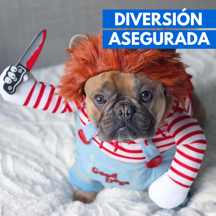 Disfraz de Chucky para mascotas - Calidad Premium