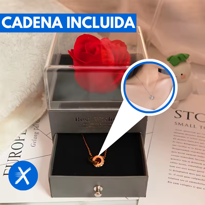 Joyero Rosas + Cadena (REGALO PERFECTO PARA DIA AMOR Y AMISTAD)