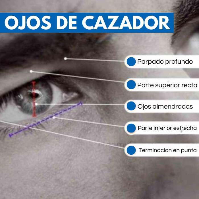 HunterPatch® - Obten una mirada seductora