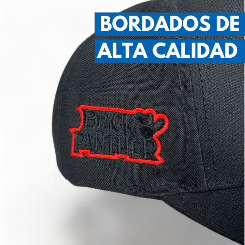 Gorra Pantera LEY 57